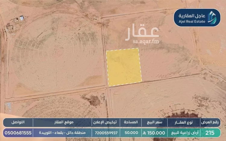 أرض للبيع في شارع ترابي, حي اللويبدة, مدينة اللويبدة, منطقة حائل صورة 2