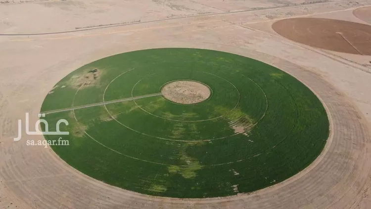 مزرعة للبيع في شارع شارع , حي الفويلق رقم(1), مدينة الفويلق رقم 1, منطقة حائل صورة 4