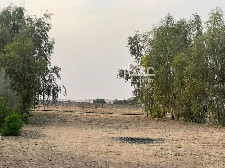 مزرعة للبيع في شارع شارع , حي الشيحيّة, مدينة الشيحيه, منطقة حائل صورة 2