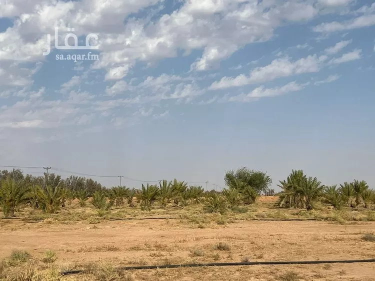 أرض للبيع في حي الودى, مدينة ودي الحزم الودي, منطقة حائل صورة 3