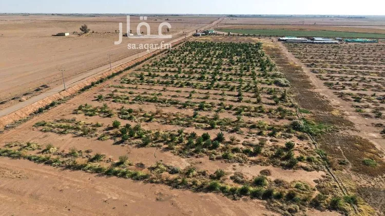 مزرعة للبيع في شارع شارع , حي المنصورية, مدينة المنصورية, منطقة حائل صورة 4