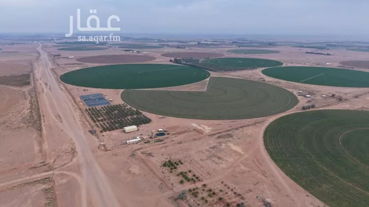 مزرعة للبيع في شارع شارع , حي السحل, مدينة السحل, منطقة حائل صورة 2