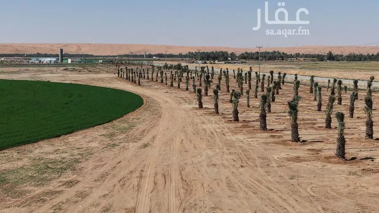 Farm for Sale in Al Ghat Ar Rabie 6