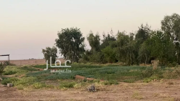 مزرعة للبيع في شارع شارع, حي الودى, مدينة ودي الحزم   الودي, منطقة حائل 20