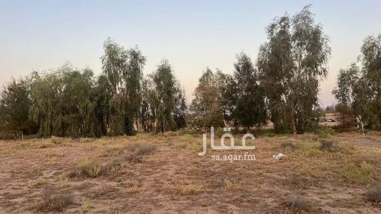 مزرعة للبيع في شارع شارع, حي الودى, مدينة ودي الحزم   الودي, منطقة حائل 19