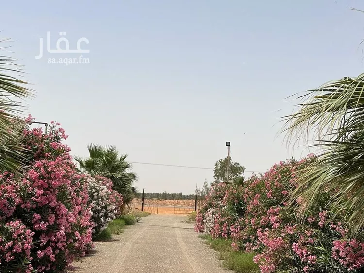 مزرعة للبيع في شارع غير مسمى, مدينة الضلفعه, منطقة القصيم 15