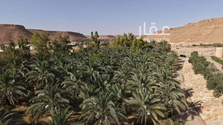 مزرعة للبيع في شارع, حي مزارع الخنقه, مدينة مزارع الخنقه, منطقة الرياض صورة 4