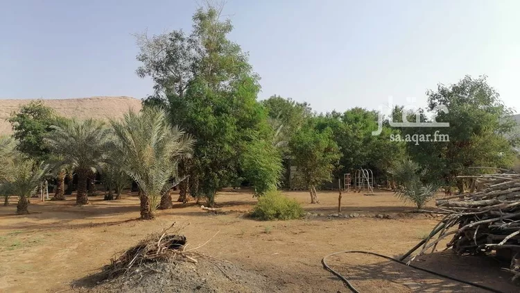 مزرعة للبيع في شارع بكر ابن عبدالله ابن الربيع الانصاري, حي مزارع واشله, مدينة الرياض, منطقة الرياض 9
