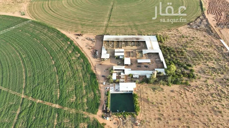 مزرعة للبيع في حي مزارع الخاصرة, مدينة مزارع الخاصرة, منطقة حائل صورة 4