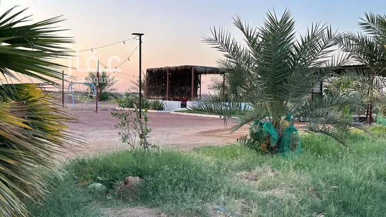 مزرعة للبيع في شارع ترابي, حي الفويلق رقم(1), مدينة الفويلق رقم 1, منطقة حائل 16