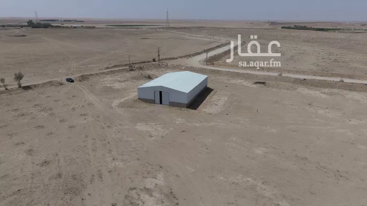 مزرعة للبيع في شارع, حي مزارع الفويلق, مدينة مزارع الفويلق, منطقة القصيم 7