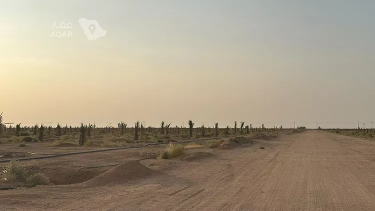 Farm for Sale in Buraydah Ar Rihab 5