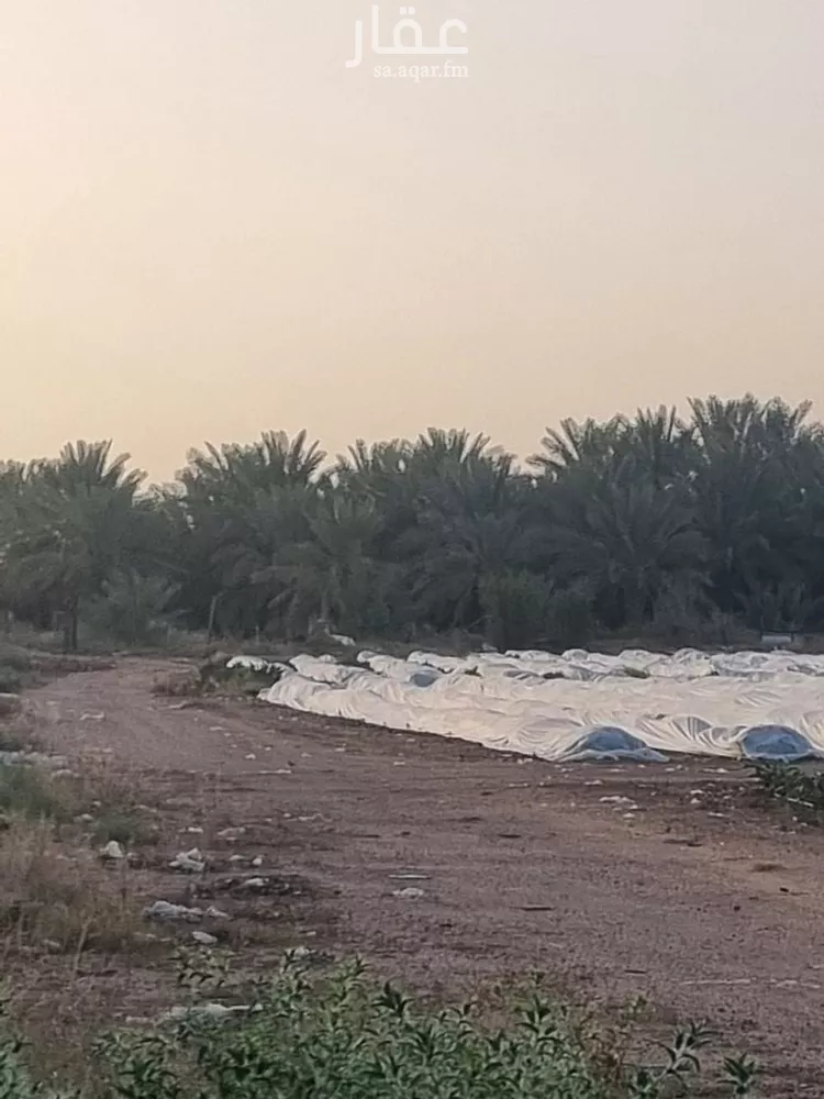 أرض للبيع في شارع شارع , مدينة عيون الجواء, منطقة القصيم صورة 3