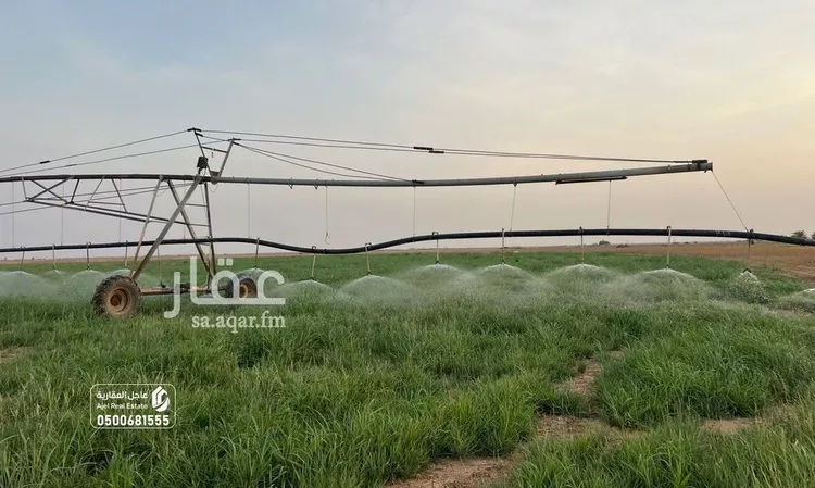 أرض للبيع في شارع شارع , حي مزارع الخرما الشماليه الغربية, مدينة مزارع الخرما الشماليه الغربية, منطقة القصيم صورة 4