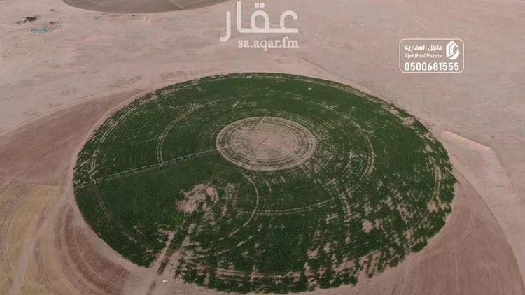 أرض للبيع في شارع شارع , حي مزارع الخرما الشماليه الغربية, مدينة مزارع الخرما الشماليه الغربية, منطقة القصيم صورة 5
