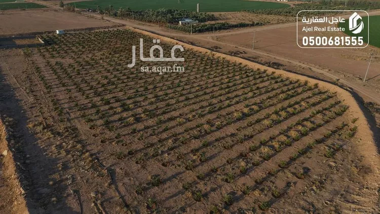 مزرعة للبيع في شارع شارع , حي مزارع الوبريات, مدينة مزارع الوبريات, منطقة حائل صورة 3