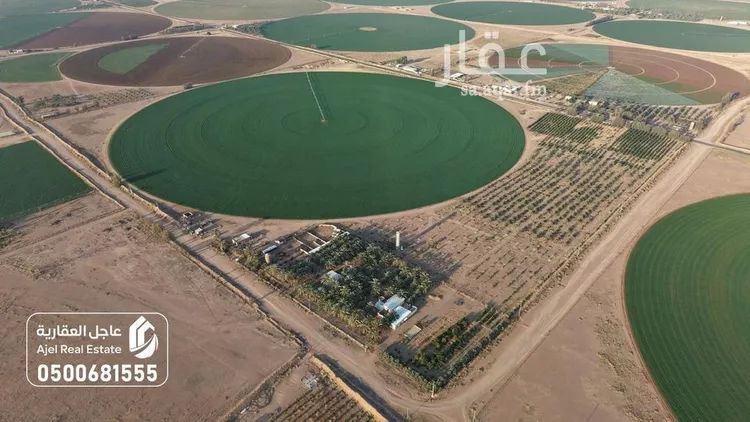 مزرعة للبيع في شارع شارع , حي مزارع الوبريات, مدينة مزارع الوبريات, منطقة حائل