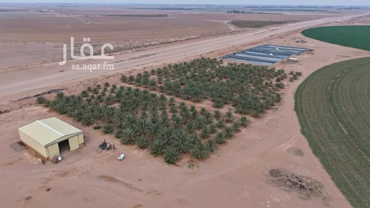 مزرعة للبيع في شارع شارع , حي السحل, مدينة السحل, منطقة حائل صورة 4