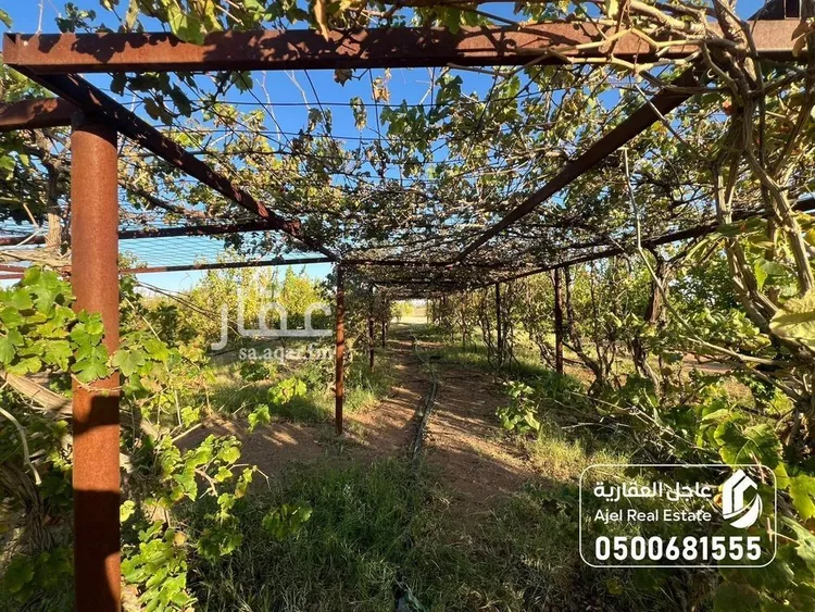 مزرعة للبيع في شارع شارع, حي السحل, مدينة السحل, منطقة حائل صورة 2
