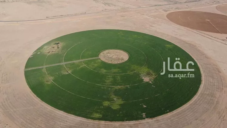 مزرعة للبيع في شارع شارع, حي الفويلق رقم(1), مدينة الفويلق رقم 1, منطقة حائل 11