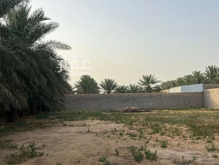 استراحة للبيع في شارع الشقه العليا 1355, حي الشقة العليا, مدينة بريدة, منطقة القصيم 7