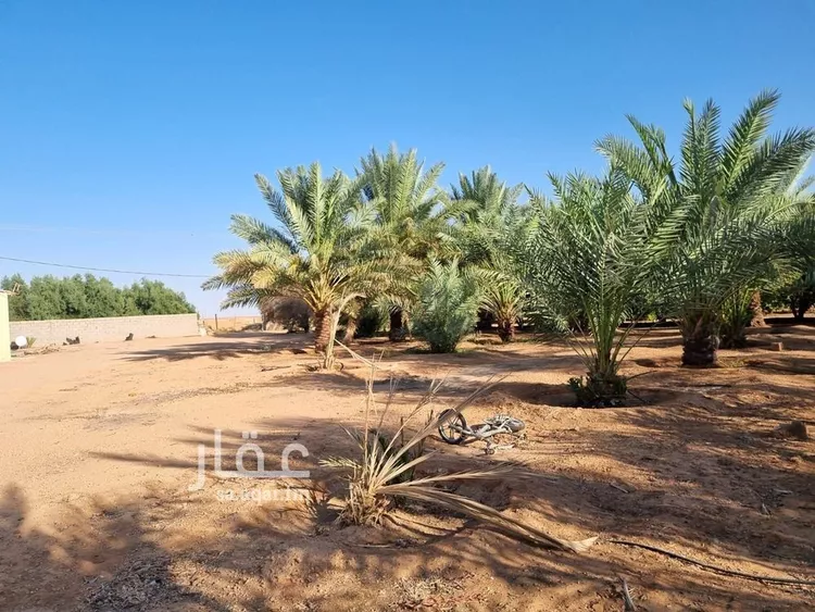Farm for Sale in Baqaa Al Suhaibi صورة 5