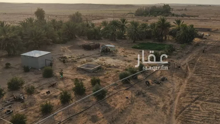 مزرعة للبيع في شارع, حي مزارع ابو غيل, مدينة مزارع ابو غيل, منطقة حائل 8