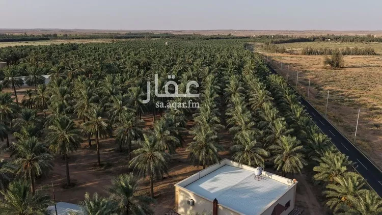 مزرعة للبيع في حي القصر, مدينة القصر, منطقة حائل 15
