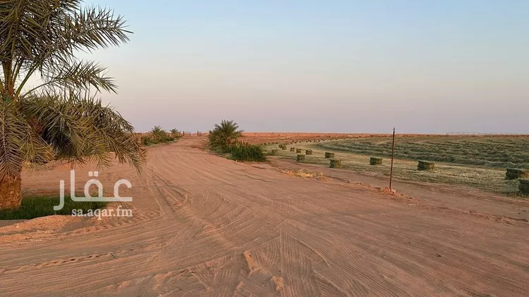 مزرعة للبيع في شارع ترابي, حي الفويلق رقم(1), مدينة الفويلق رقم 1, منطقة حائل 6