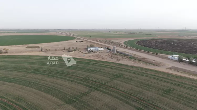 Farm for Sale in AlShinana Al Aziziyah 2