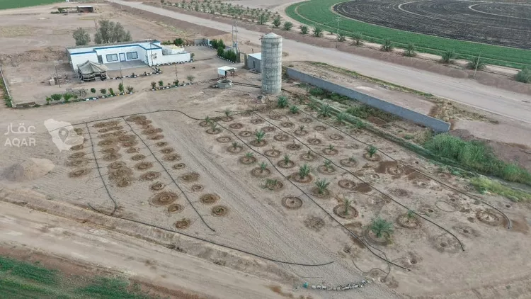 Farm for Sale in AlShinana Al Aziziyah 13