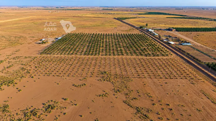Farm for Sale in Buraydah Ar Rihab 3