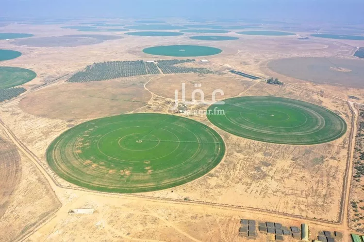 مزرعة للبيع في شارع طريق زراعي , حي مزارع عنز, مدينة مزارع عنز, منطقة القصيم صورة 5