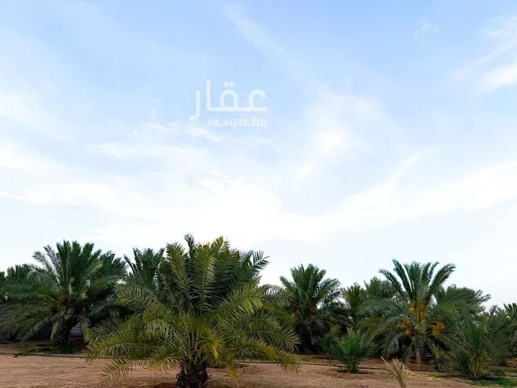 مزرعة للبيع في شارع شارع , مدينة عيون الجواء, منطقة القصيم صورة 5