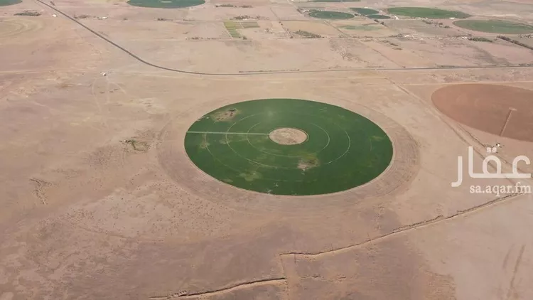 مزرعة للبيع في شارع شارع , حي الفويلق رقم(1), مدينة الفويلق رقم 1, منطقة حائل صورة 5