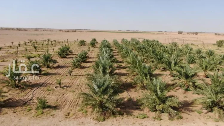 مزرعة للبيع في حي الودى, مدينة ودي الحزم   الودي, منطقة حائل صورة 2