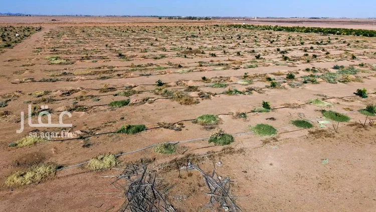 مزرعة للبيع في شارع شارع , حي المنصورية, مدينة المنصورية, منطقة حائل صورة 5