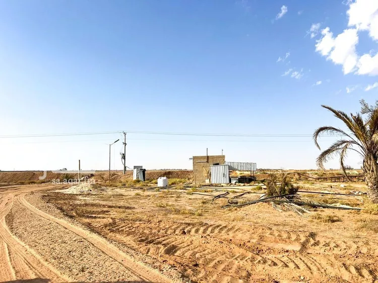 أرض للبيع في حي الودى, مدينة ودي الحزم   الودي, منطقة حائل صورة 4