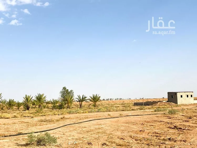 أرض للبيع في حي الودى, مدينة ودي الحزم   الودي, منطقة حائل صورة 2