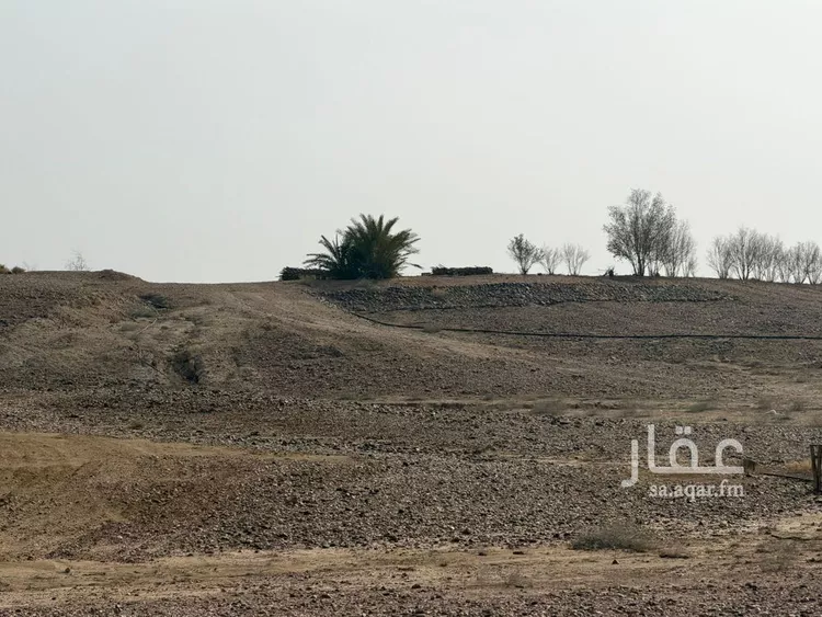 مزرعة للبيع في شارع شارع, مدينة الأجفر, منطقة حائل صورة 2