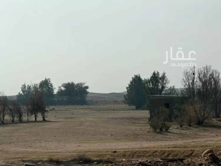 مزرعة للبيع في شارع شارع, مدينة الأجفر, منطقة حائل 6