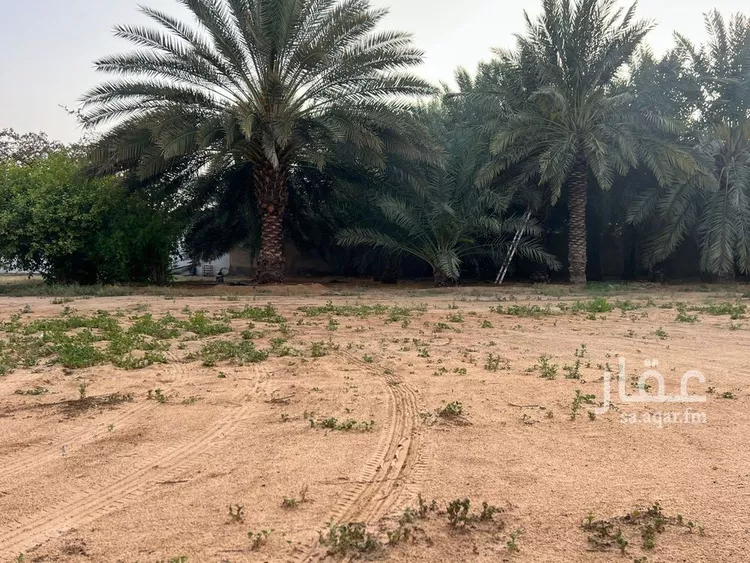 استراحة للبيع في شارع الشقه العليا 1355, حي الشقة العليا, مدينة بريدة, منطقة القصيم 16