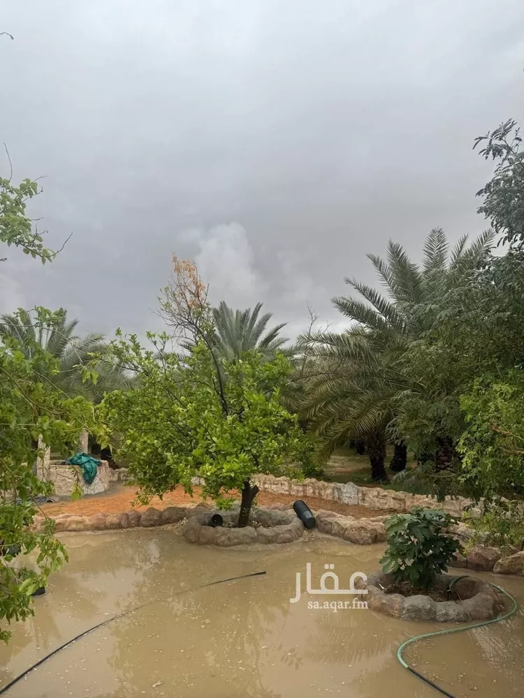 مزرعة للبيع في شارع, حي مزارع الخنقه, مدينة مزارع الخنقه, منطقة الرياض 19