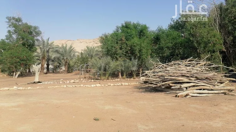 مزرعة للبيع في شارع بكر ابن عبدالله ابن الربيع الانصاري, حي مزارع واشله, مدينة الرياض, منطقة الرياض صورة 4