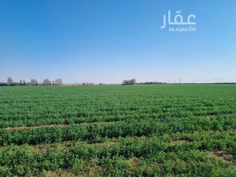 مزرعة للبيع في شارع, حي بقعاء الشرقية(سهلة الفزير), مدينة بقعاء, منطقة حائل 7