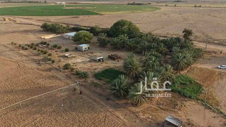 مزرعة للبيع في شارع, حي مزارع ابو غيل, مدينة مزارع ابو غيل, منطقة حائل 7
