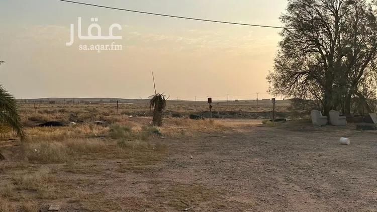 مزرعة للبيع في شارع, حي مزارع ابو غيل, مدينة مزارع ابو غيل, منطقة حائل 22
