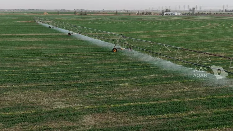 Farm for Sale in AlShinana Al Aziziyah 3