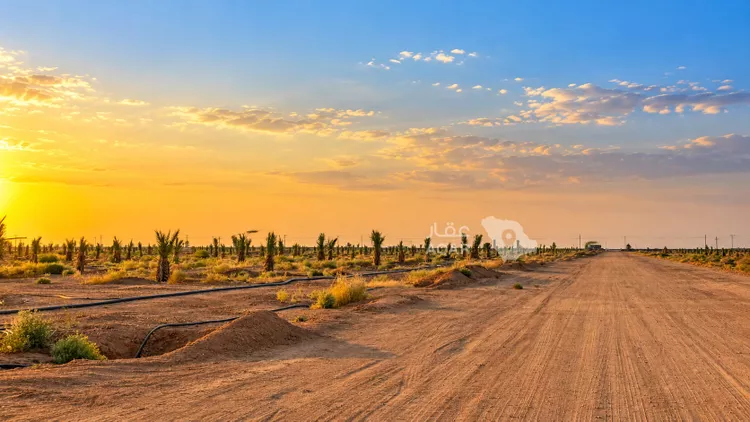 Farm for Sale in Buraydah Ar Rihab 16