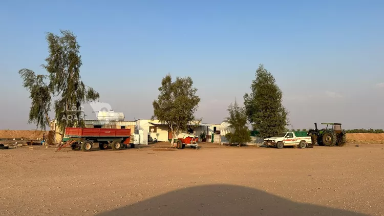 Farm for Sale in Buraydah Ar Rihab 13
